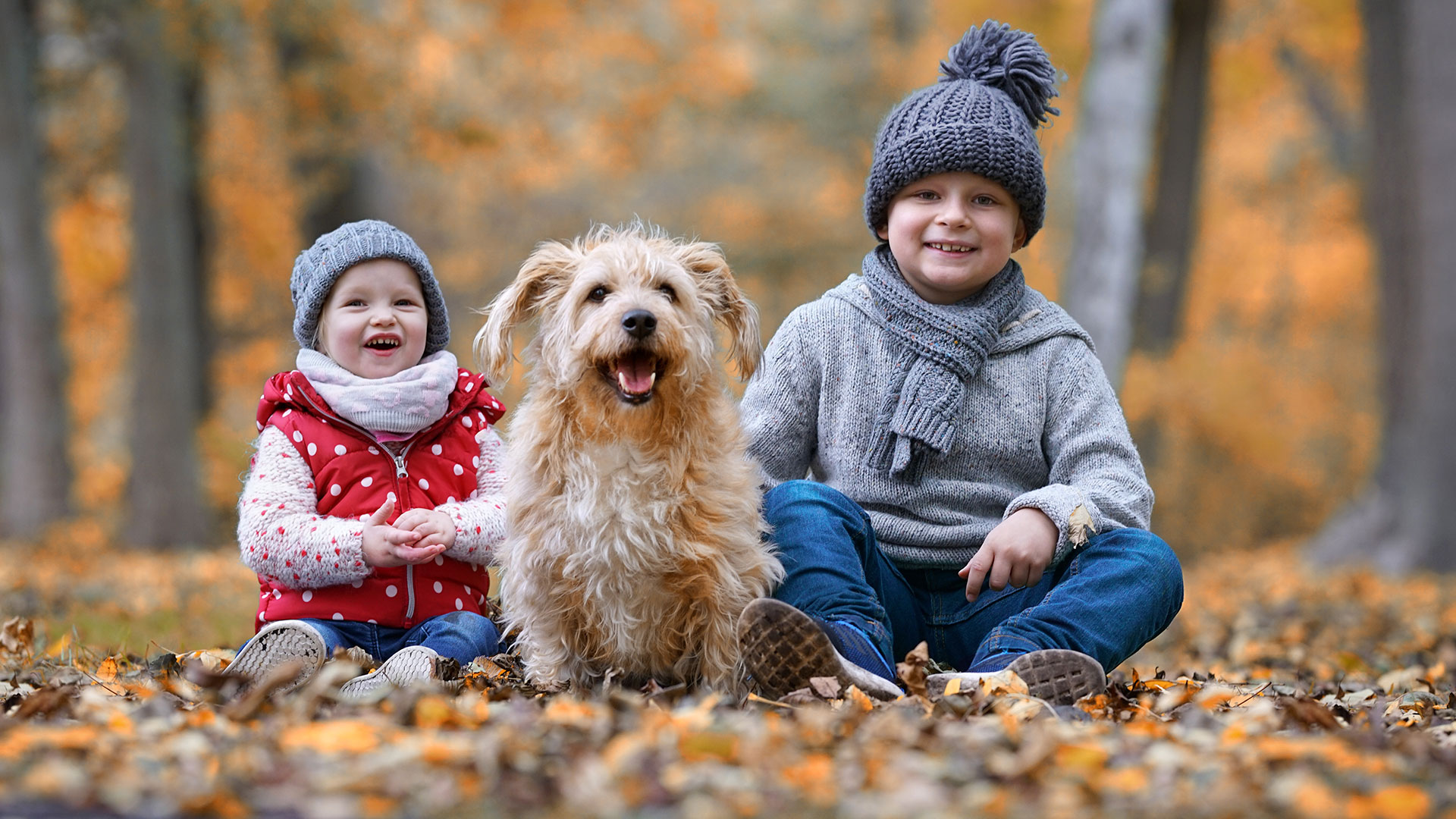 Entspannnungstherapeutin, wertvoll, verdienen, Beste, Stimme, selbstbewusst, achten, Klientin, empfehlen, einfühlsam, Zeit, hervorragend, Arbeit, Gefühl, gut, Hände, Herz, Erfahren, Person, beruflich, Qualifikation, EMDR-Therapeutin, Schwerpunkt, Traumatherapie, Entspannungstherapeutin, BlütenSeelen, Fachberaterin, Laufbahn, Rolle, verhaltensauffällig, Kind, erhöht, Förderbedarf, geistig, körperlich, Behinderung, Sucht, erkrankt, Jugendlich, Erwachsen, gemeinsam, Wunsch, wenn und aber, angenommen, Art, Wertschätzung, empathisch, Grundhaltung, Tür, Herz, effektiv, anvertraut, Angenommen, Therapie, Klient, Unterstützung, aufsuchen, Ruhe, ankommen, Druck, Erwartung, denken, spüren, wollen, Therapiestunde, Stärke, Fähigkeit, Ressource, sichtbar, Selbstvertrauen, Herausforderung, Alltag, stellen, Täglich, Übung, Sicherheit, Selbstvertrauen, befähigen, Selbstheilung, unterstützen, zertifiziert, Heilerziehungspflegerin, Ganzheitlich, verbindet, Elemente, therapeutisch, Verfahren, bestmöglich, krankmachend, Muster, auflösen, Potential