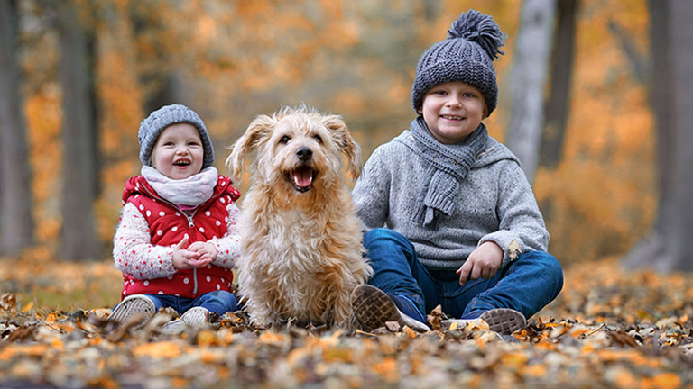 Krankenkassenvergütung, verzichtet, konsularisch, Bericht, Beschreibung, Therapiegrund, Krankheitswert, Hausarzt, Antrag, Kauf, Arztbesuch, Aufnahme, Diagnose, EDV-System, Patientenakte, vermeiden, Beteiligung, Nachteil, Sitzung, Groß, Stille, Vortrag, Kurs, Prävention, Erkrankung, Mitarbeiter, Firma, , Stress, vermuten, beschäftigt, Zustand, permanent, unterlaufen, Flüchtigkeitsfehler, Kollege, Aufklärung, Belastbarkeit, Speicher, Rechnung, Wirt, einteilen, müde, anfällig, Atemzug, Einheit, progressiv, Muskelentspannung, Stressantreiber, Konzept, bewusst, Erfahrung, ruhig, Achtsamkeitsübung, Händewaschen, Entschleunigung, Atmen, vegetativ, Nervensystem, entlastet, Gehirn, Sauerstoff, Vortragsreihe, anfallend, privat, physisch, Stressmanagement, umsetzen, Arbeitsplatz, gestalten, wohl, Farbkonzept, Pflanze, Veränderung, Geräuschmiminierung, Autogenes Training, Progressiv, Muskelrelaxation, Atemschulung, Verbesserung, Sauerstoffversorgung, Regulation, Herzfrequenz, Meditation, Förderung, Kreativität, Geist, Beratung